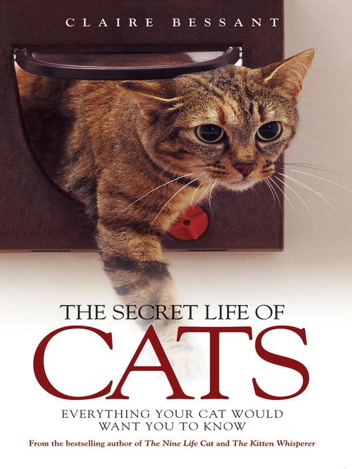 Cover image for The Secret Life of Cats